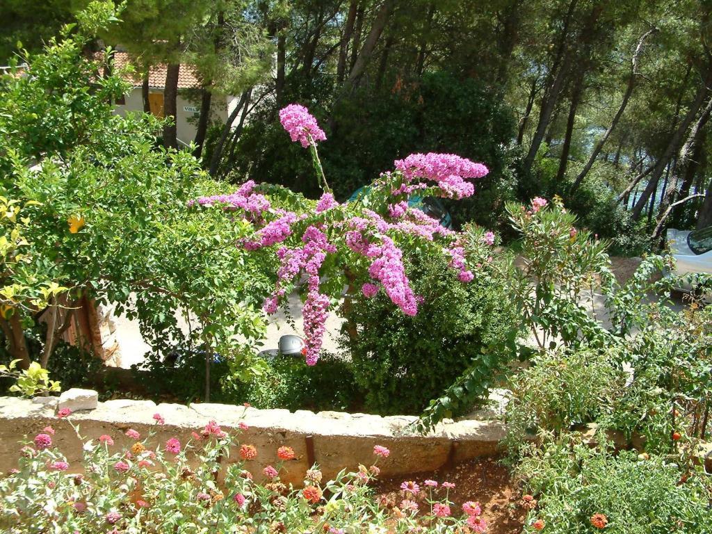 פריזבה Apartments Bosnic מראה חיצוני תמונה