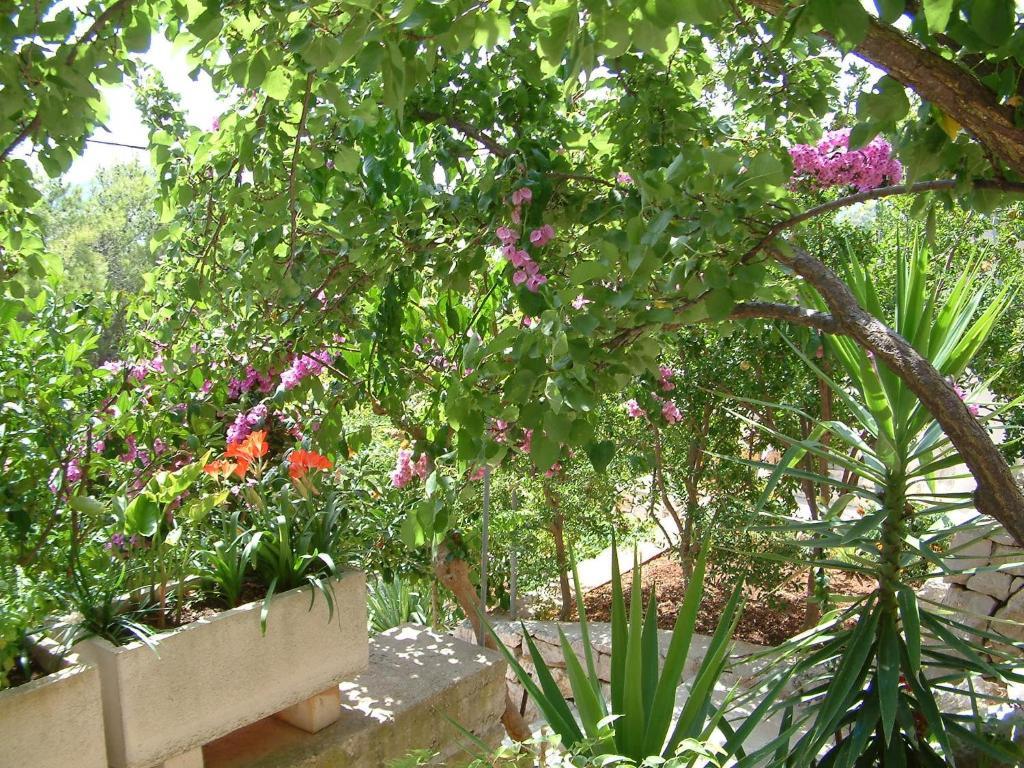 פריזבה Apartments Bosnic מראה חיצוני תמונה